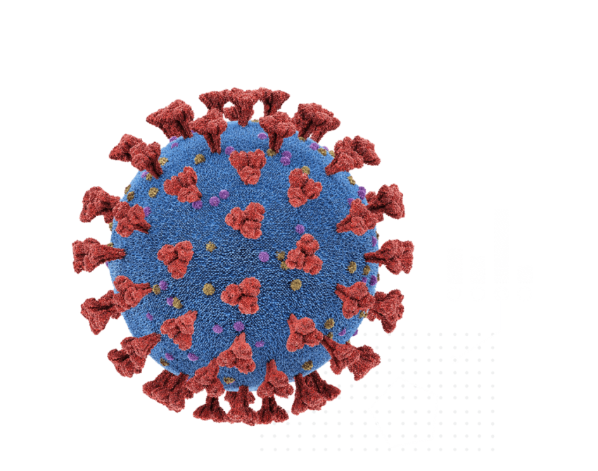 SARS CoV 2 Coronavirus PNG without Background