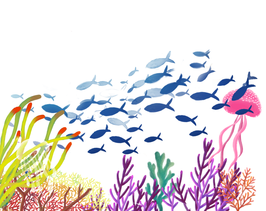 Hand painted decorative pattern coral PNG free Image
