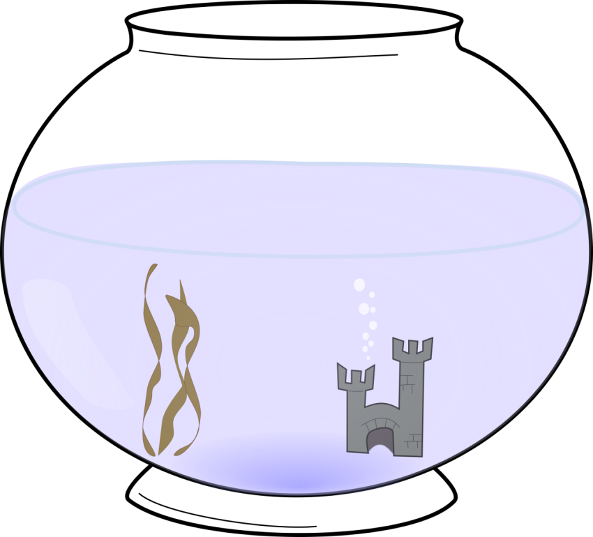 Aquarium Fish PNG Ball Free Download