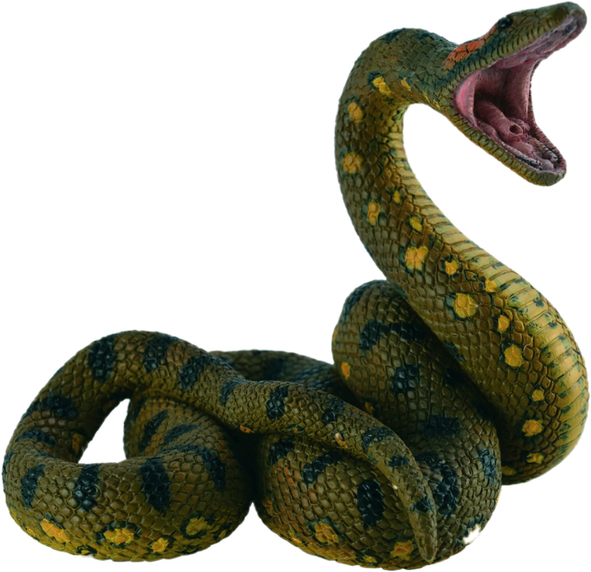 Antique Animal Anaconda PNG Picture Free Transparent background