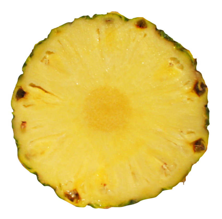 Pineapple Big Piece Rock MusicPineapple logo PNG Icon & Logo Transparent Free Download