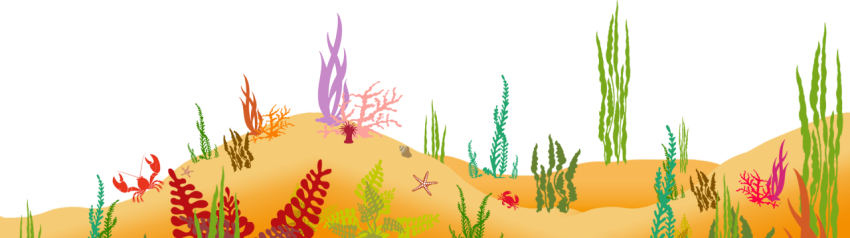 Beautiful Sea under water Art PNG Free Image Download