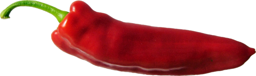 Red Chilli Tabasco PNG Image Free Download