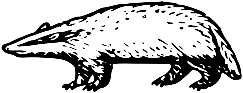 Fanart Skitch Badger Image Drawing PNG Transparent background
