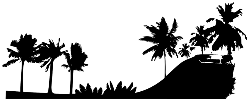 HD Beautiful Palm Tree PNG Drawing