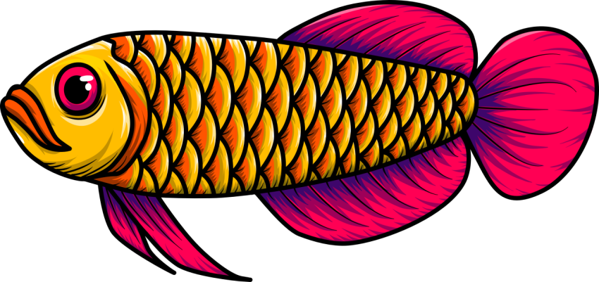 Fighting fish vector yellow red PNG free Download