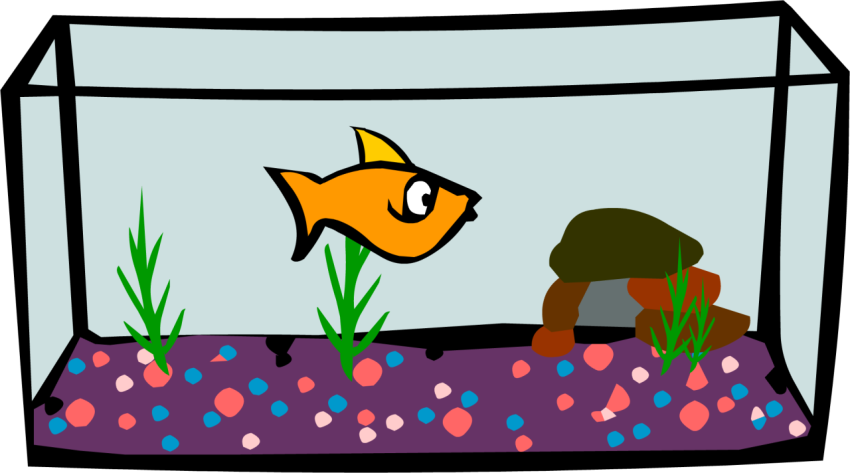 Aquarium PNG Handart Image Free Download