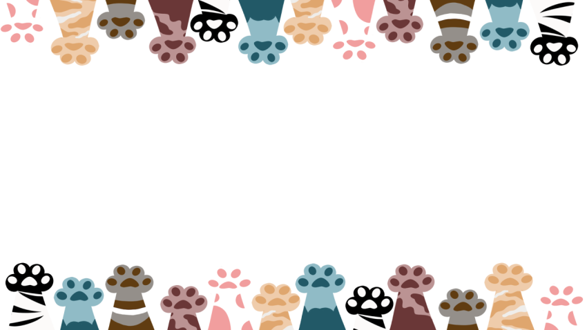 Cat footprints border cartoon cute PNG Free Download