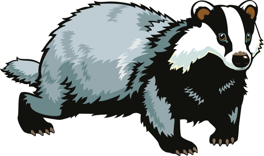 Pin On Cricut Badger Vector Graphic & Svg Stock Art PNG Skitch Painting Free Download
