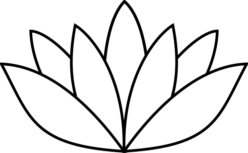 Flower Lotus PNG Drawing Free Download