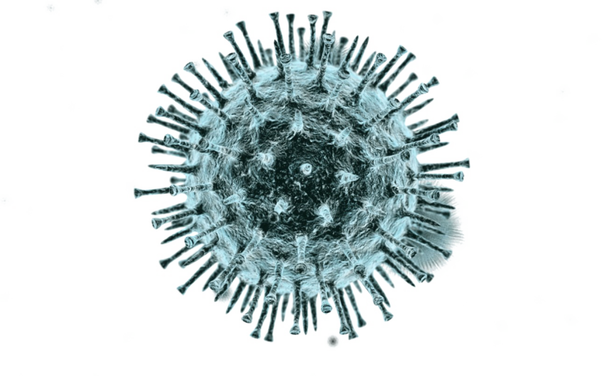 KP 3 1 1 is the predominant Variant as Coronavirus PNG Free Download
