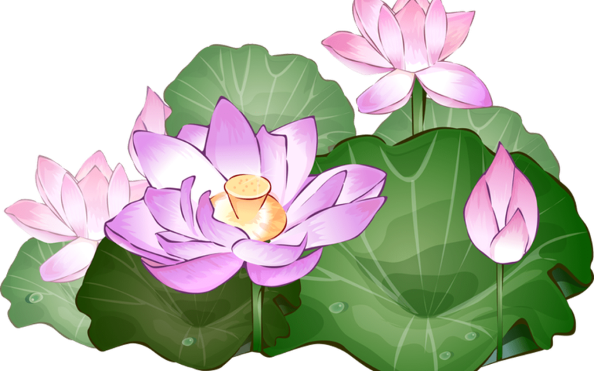 Abstract Lotus Flower Art Work PNG Image Free Picture