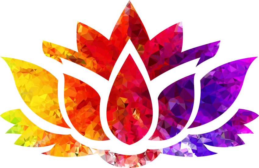 3D Artistic Lotus Flower PNG painting Free Download
