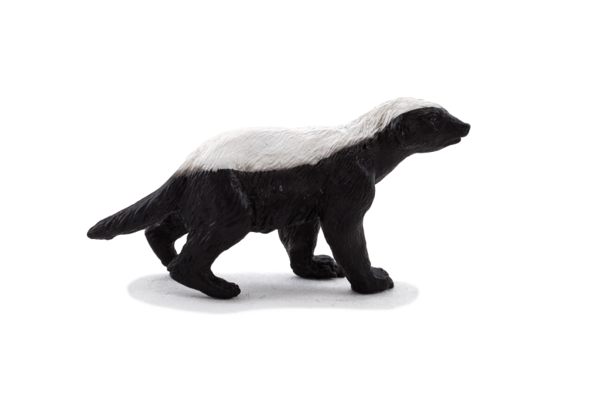 Cute Badger Picture PNG Free Download On HD Transparent Background