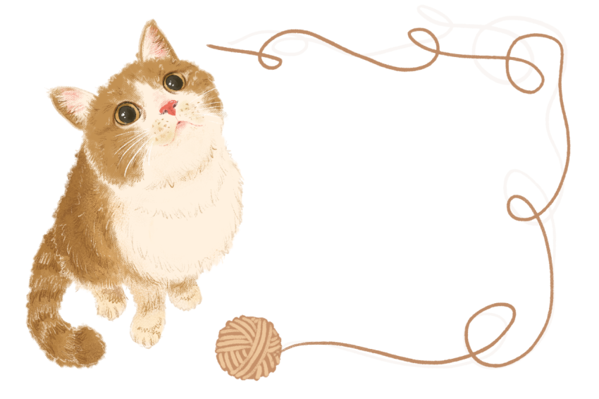 Fat orange cat border PNG Download