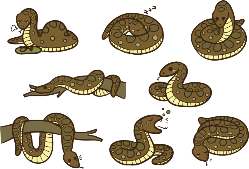 Green Vector Stock Anaconda PNG Picture Free Transparent