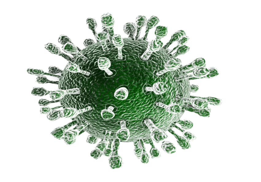 Coronavirus Research Solutions PNG Image Free Download