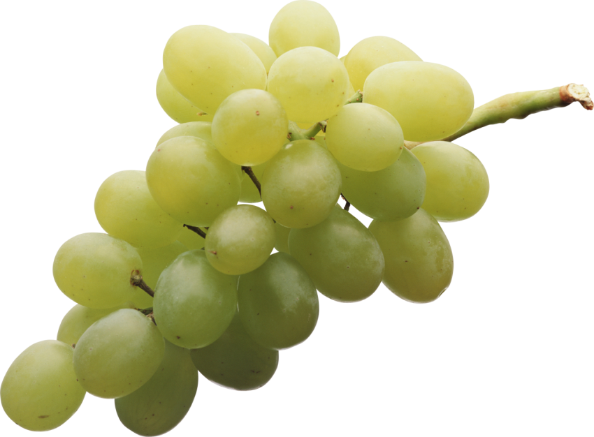 Grapes PNG Picture & Thompson Grapes Pair PNG Photo Free Download