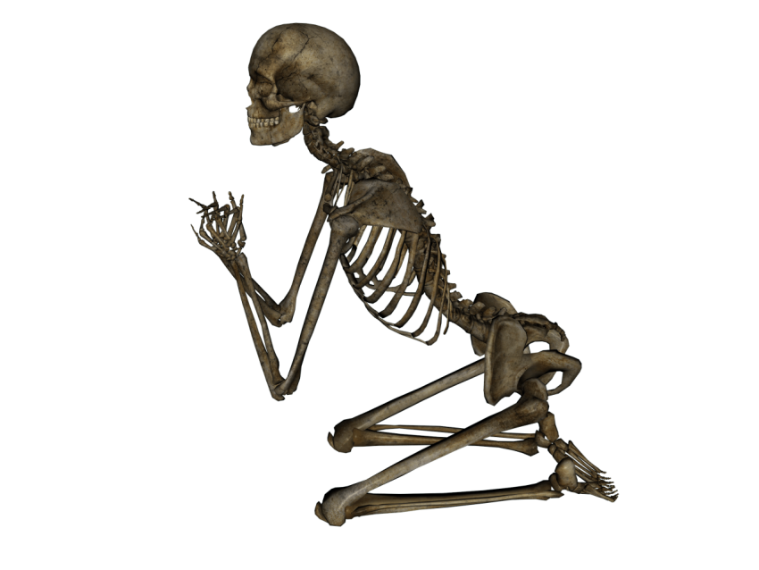 Clip Art Skeleton PNG Free Photo Download