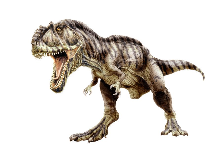 Attack mood dinosaur light brown with black texture transparent background png free download