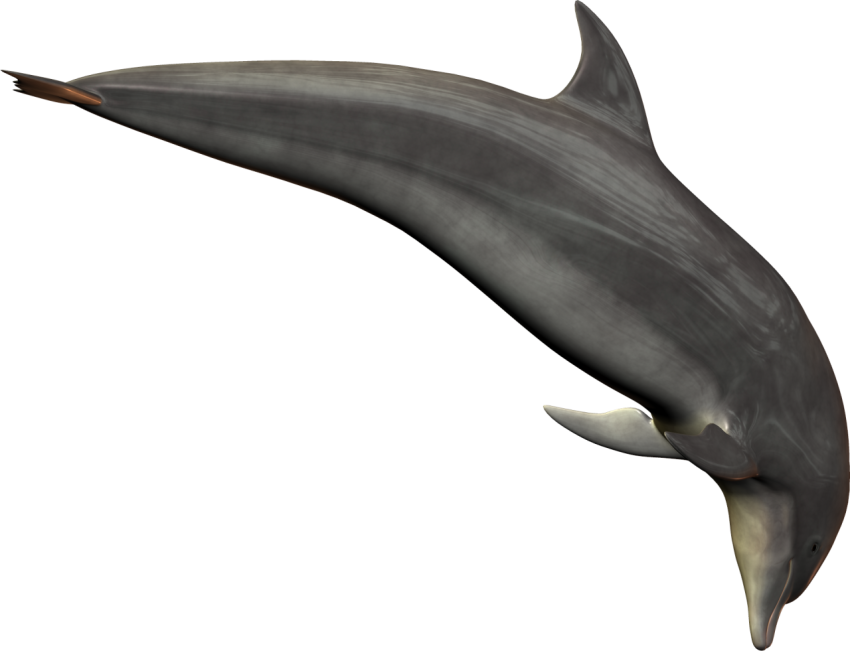 Dolph deep in water hd free download