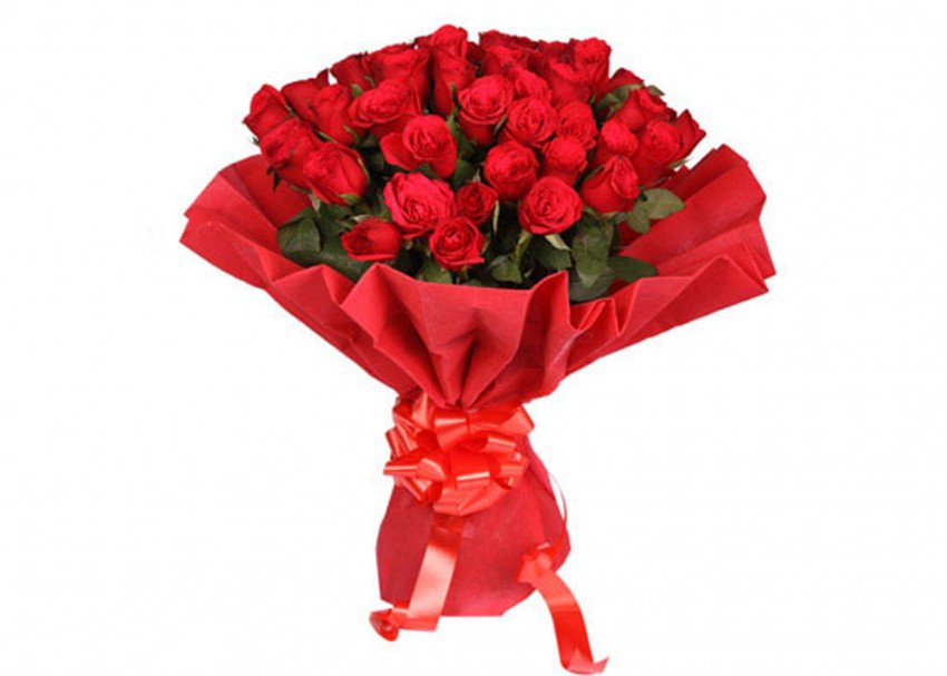 Red rose gift free red rose pack gift rose