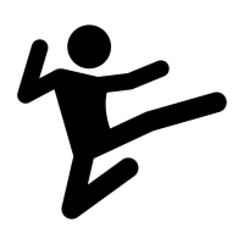 Flying kick icon dessign