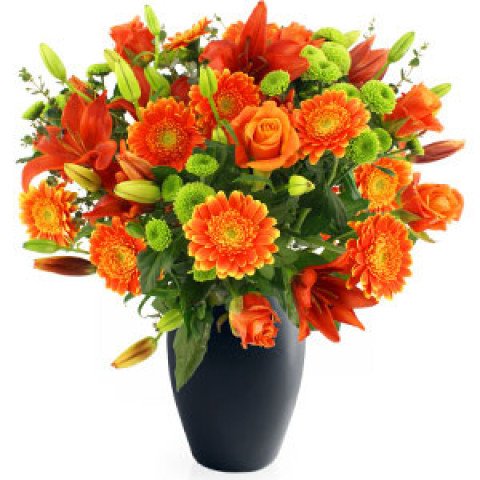 Tequila Sunrise Main Rose multicolor rose png free rose