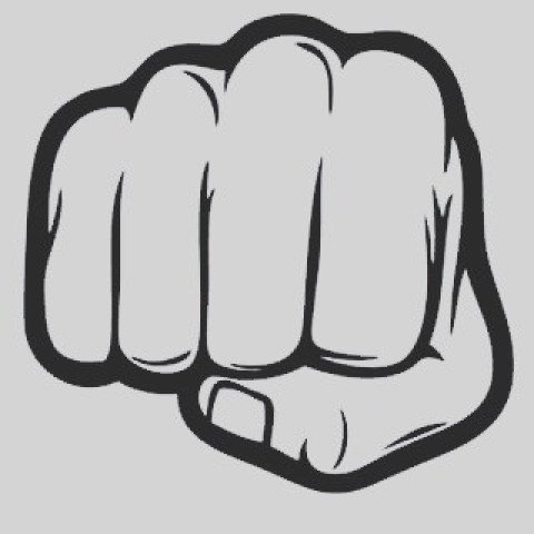 Fighter hand Karate on the cray