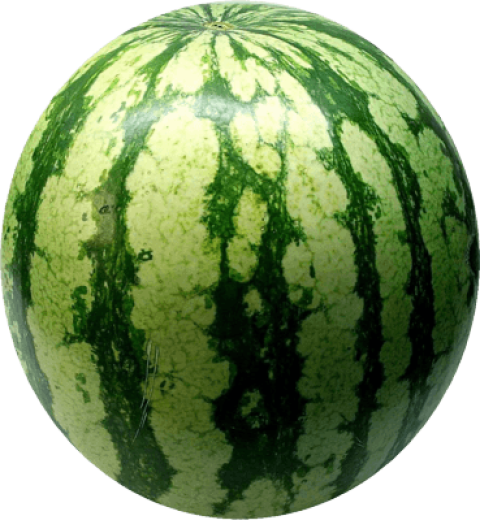 3D watermelon Clipart picture PNG free Download