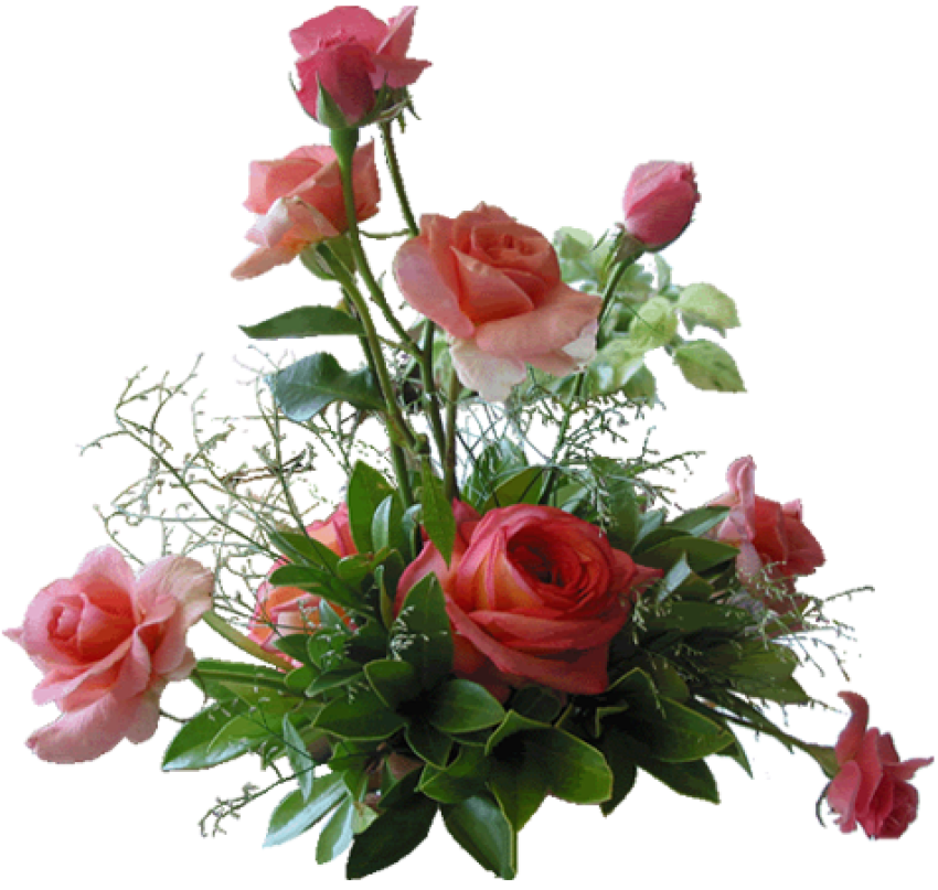 Beautiful Flowers PNG Image