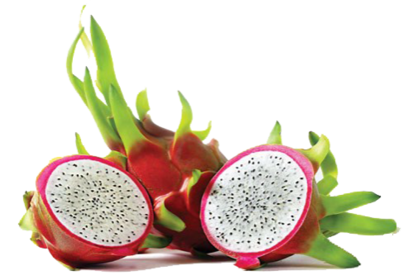 Illustration Graphic Psd Image Pitaya Vietnam Auglis Grape Food Image Wallpaper PNG Free Download