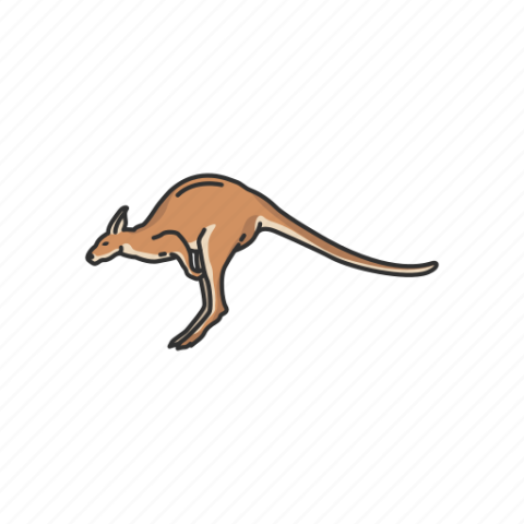 Wallaroo PNG Free Image Download