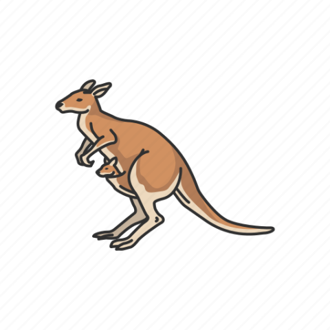 Wallaroo PNG Clipart Free Download