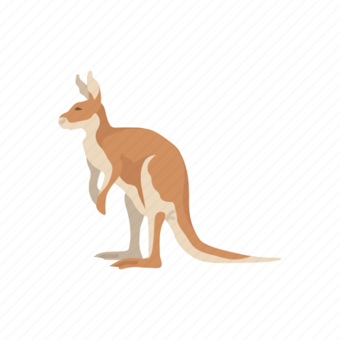 Vector Wallaroo PNG Image