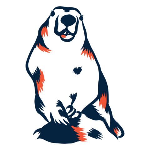 Groundhog PNG Art Work Image Free Download