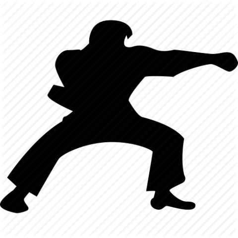 Fighter man icon