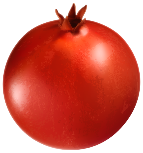 Pomegranate Clipart Vector Art Icon PNG Free Transparent Download
