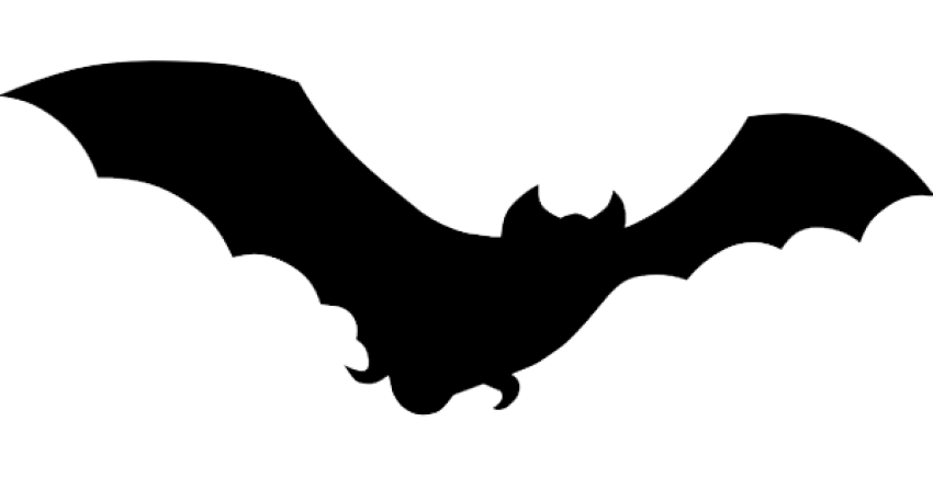 Bats black icon free png graphics download
