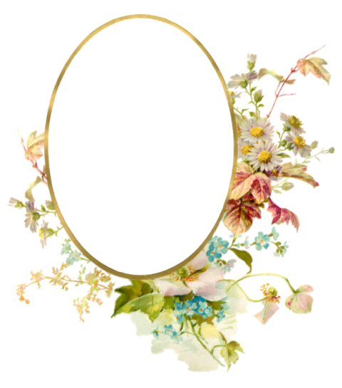 Beautiful Photo Birthday Frame PNG Transparent Photo