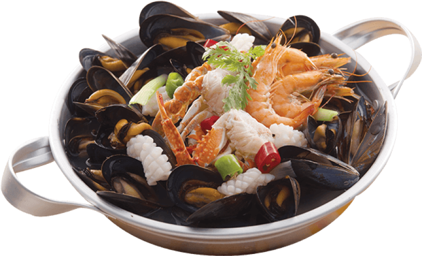 Fish Food On Mussel PNG Image On White Background