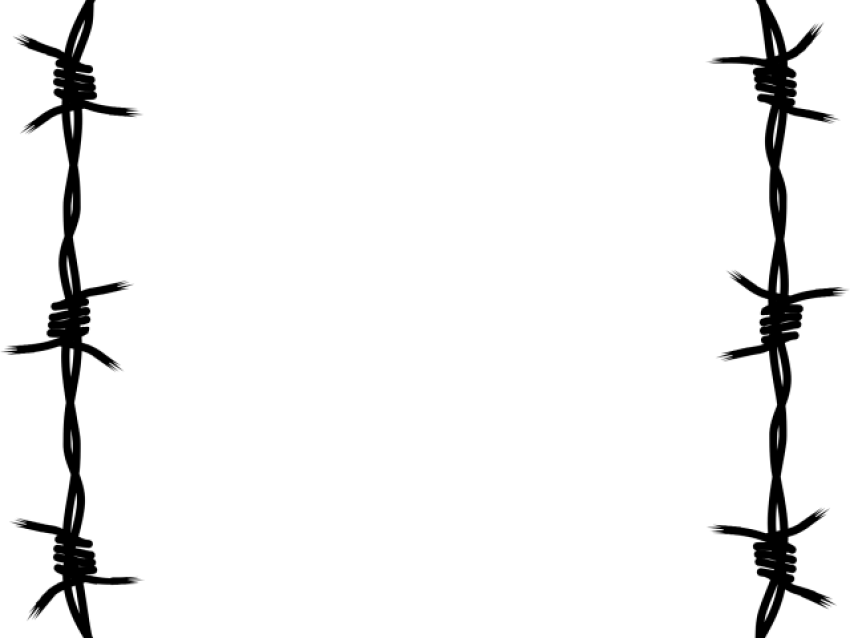 Vertical Barbwire PNG Image free Transparent
