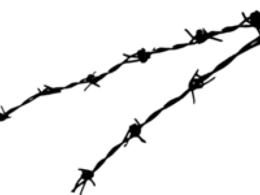 Barbwire PNG Transparent Image Download