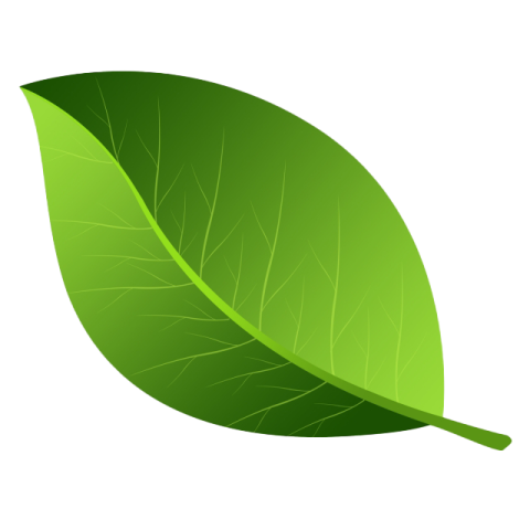 Clipart Green Leaves PNG icon Free Download