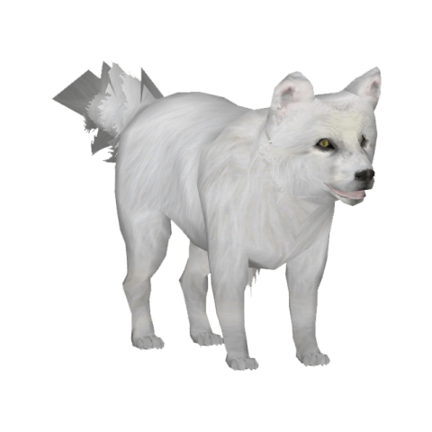 White litter Arctic Fox PNG Clipart Image Free download