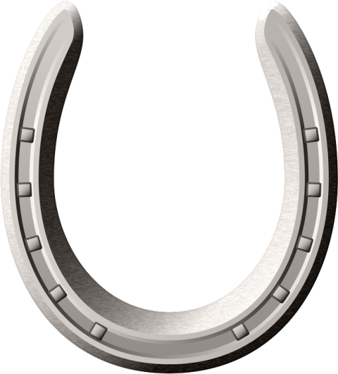 Pretty Horseshoe PNG Image Free Download