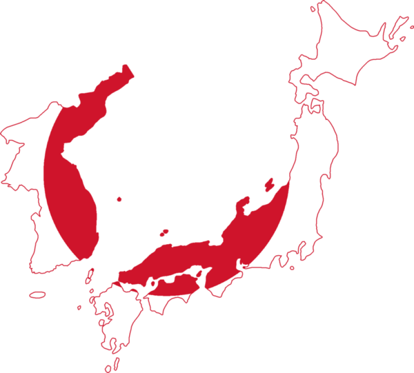 Illustration Japan Map PNG with Transparent Image