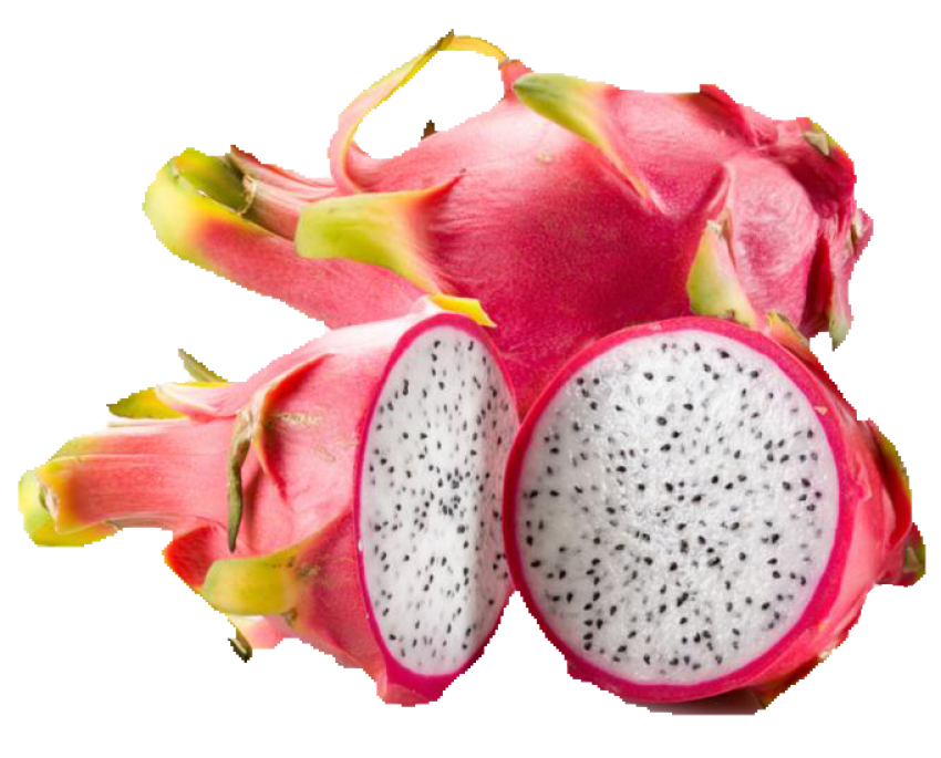 Hylocereus Undatus Pitaya Dargon Image Free PNG Photo Transparent Free Download