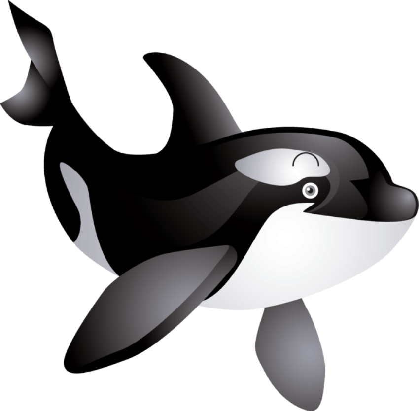 Free clipart whale fish free download