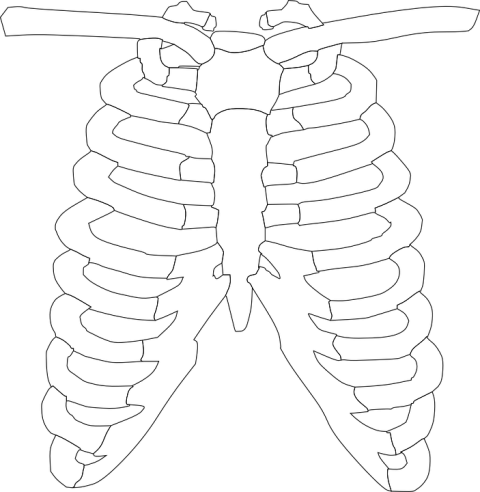 X Ray PNG Human Chest X Ray Machine PNG Icon